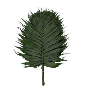 Teepee Emerald (Europe)