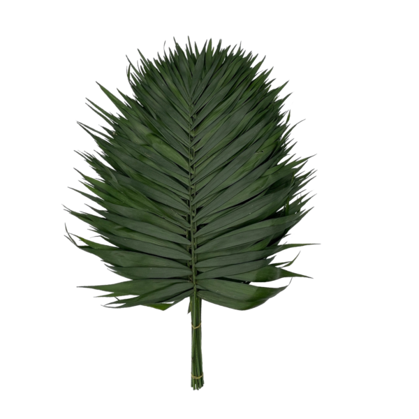 Teepee Emerald (Europe)